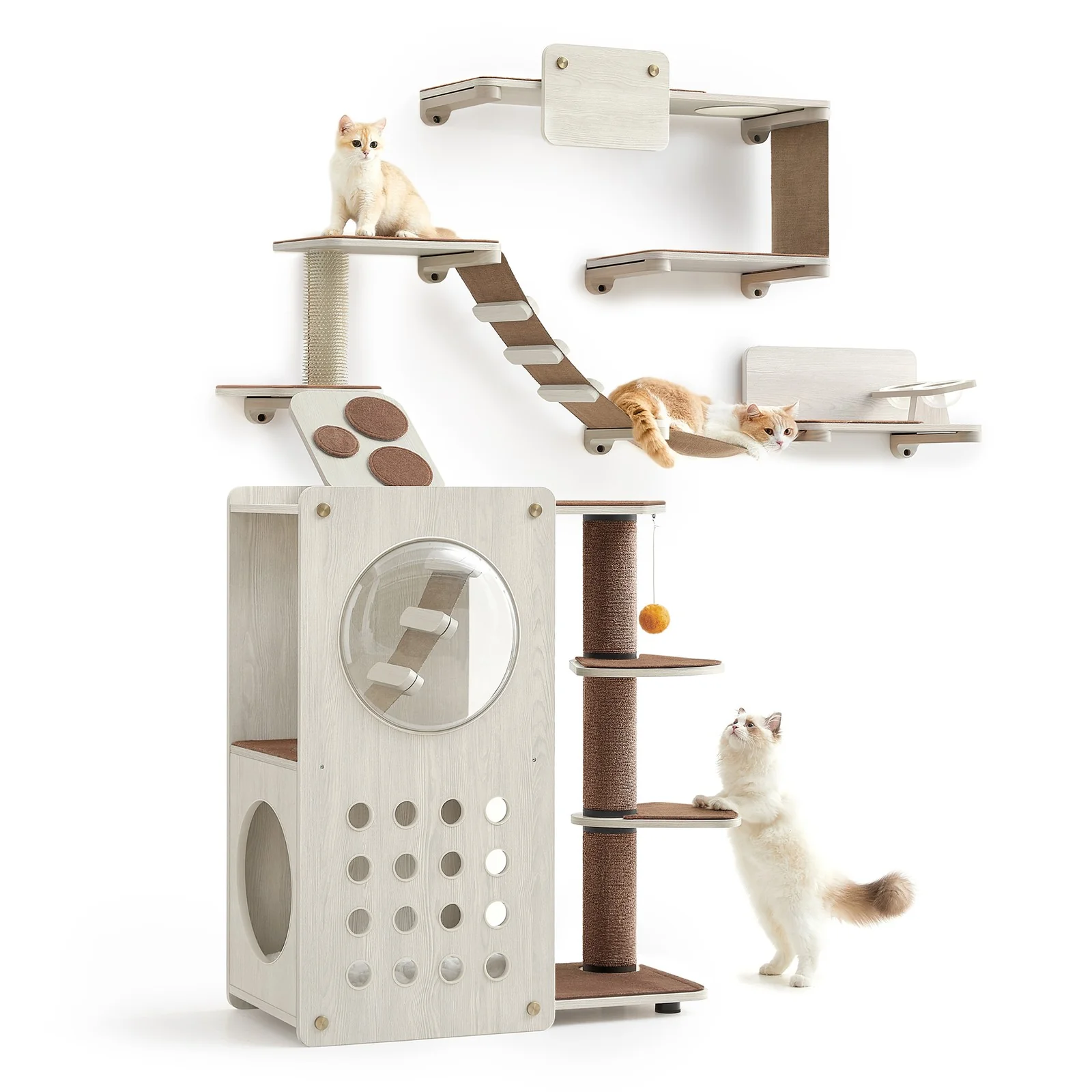 Land - Katzenmöbel Kletterwand 7er Set