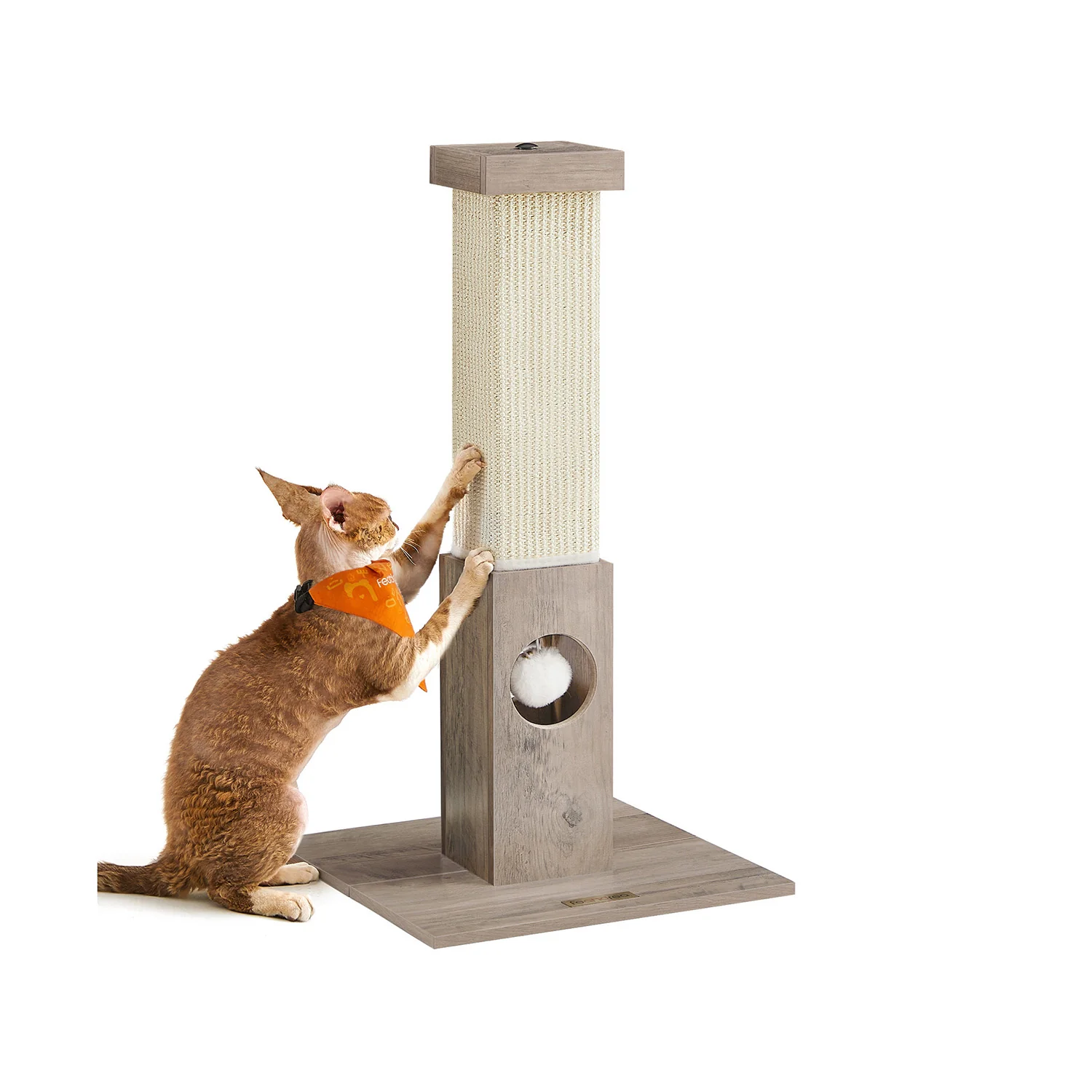 Kratzsäule 73 cm mit Spielzeug - Image 2